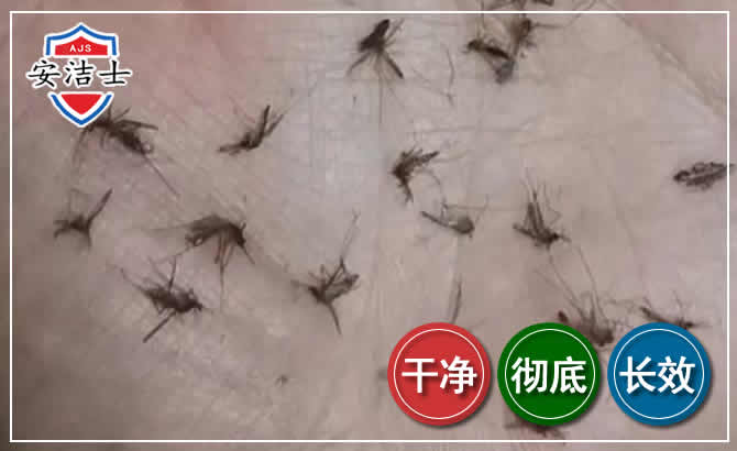 舟山蚊子防治-灭蚊