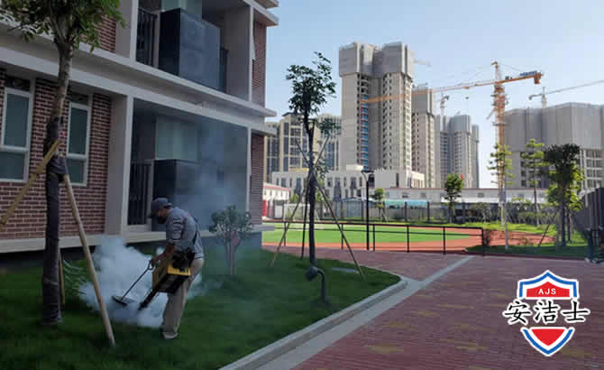 舟山工厂工地除白蚁