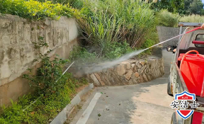 舟山道路堤坝白蚁防治