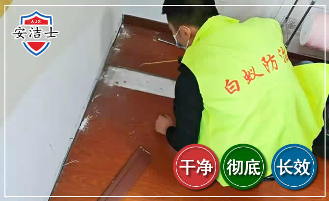 舟山除四害现场