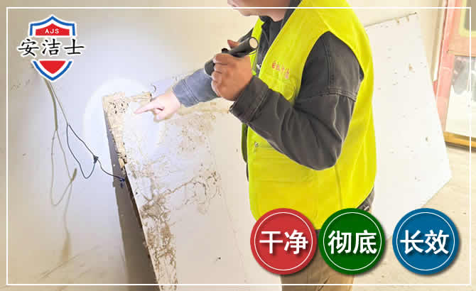 舟山除白蚁现场