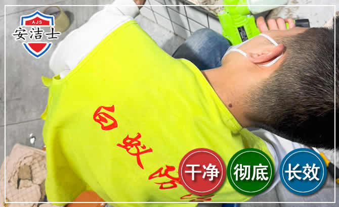 舟山白蚁根治现场